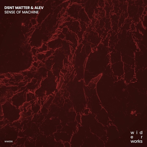 Dsnt Matter & Alev - Sense of Machine [WW006]